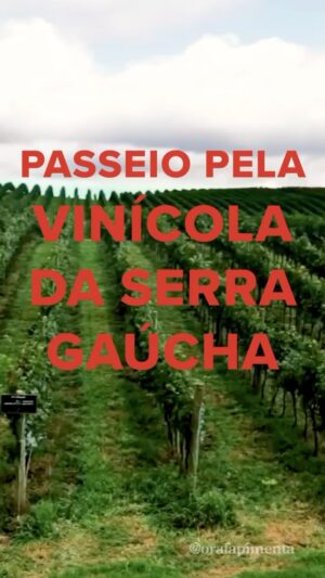 Rafael Pimenta Instagram - Um verdadeiro passeio pela vinícola da Serra Gaúcha 😐😐 

Elenco: Rafael Pimenta
Edição: Guilherme Souza
Redes Sociais: Amanda Misturini e Sabrina Porto
#humor #esquete #RafaelPimenta #vinicolaserragaucha #vinicola