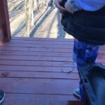 Randy Orton Instagram - #offday #zipline