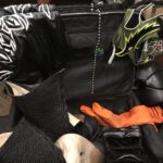 Randy Orton Instagram - .... forgot my lucky orange socks. All set.