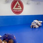 Raphael Sander Instagram - Visitando a escola de Jiu Jitsu da qual sou cria, @gbamericas! Descobri a arte suave no final de 2018 e já se passaram quase quatro anos. Me apaixonei pelo Jiu! Sou eternamente grato aos meus mestre @danielbz.gb e @solcuca que, desde o primeiro dia, acreditaram em mim! É uma honra fazer parte da escola Gracie Barra! Oss! 📸 @kleinmarina_ (obrigado pelas fotos e vídeos, Marina👊🏼) 🥋 @dr.rodrigobarreto & @luizacosta0709 (gratidão pelo treino) Obs: Dr. Rodrigo me finalizou numa chave Americana no final, mas não consegui postar o vídeo todo! . . . #jiujitsulifestyle #jiujitsuparatodos #jiujitsubrasileiro #atorbrasileiro #brazilianjiujitsu #graciebarra #graciebarrabrasil #vidasaudavel #healthylifestyle #gbamericas Gb Americas