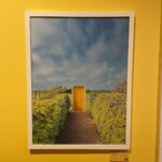 Raphael Sander Instagram - Explorando uma exposição que me fez sentir como se estivesse dentro de um filme de Wes Anderson. Se você também aprecia a magia da simetria e paletas de cores encantadoras, pesquise AccidentalWesAnderson e confira todo esse trabalho. . . . #wesanderson #accidentallywesanderson #art #exposition London, United Kingdom