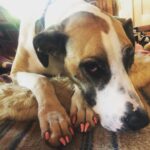Rebecca Romijn Instagram - At least someone got a manicure around here