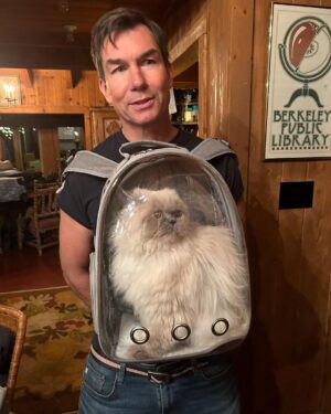 Rebecca Romijn Instagram - Happy Bday @mrjerryoc So glad you love your new cat carrier!