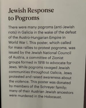 Regina Spektor Instagram - Day 100. A small poem sent your way from this aching heart. Images are from my visit to the Jewish Heritage Museum earlier this month. Horrific memories kept for us, because those humans who lived them are long dead. Our heritage is much more than just massacres and pogroms, but the ratio sucks. There’s a lot. And people keep angling for more. No more. We want to be here. Around 15 million in a world of over 8 billion. Not too much space to ask for… We want this war over. No more innocent lives lost. Not Palestinians, not Israelis, not ANYONE! If you also want this war over- then say it with me- to anyone who will listen and anywhere your voice can reach: Hamas- return all the hostages and surrender. Bring them all home. Terrorists spend their energy terrorizing, but this world was built for LOVE. Enough ❤️‍🩹 Am Yisrael Chai 💙🕯️