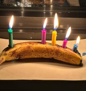 Regina Spektor Instagram - Love to you, and many miracles your way! Oh and IF you ever have a day or two when you’re without a menorah- I highly suggest the good ole’ bananakah method. Works every time and makes a great sparkler sound when it burns out…🕯️🕎💙🎶🍌🍌🍌🍌🍌🍌🍌🍌🍌🍌🍌🍌🍌🍌