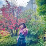 Reina Tanaka Instagram - . 寒い寒い寒い🥶 写真のために上着ぬいで撮るのも 限界きました(´× ×`) この髪飾りかわいいやろ💓 (髪飾りて。ヘアアクセね) ・‥…━━━☞・‥…━━━☞ #れーなこーで #labelleEtude #ZARA #ヘアアクセ
