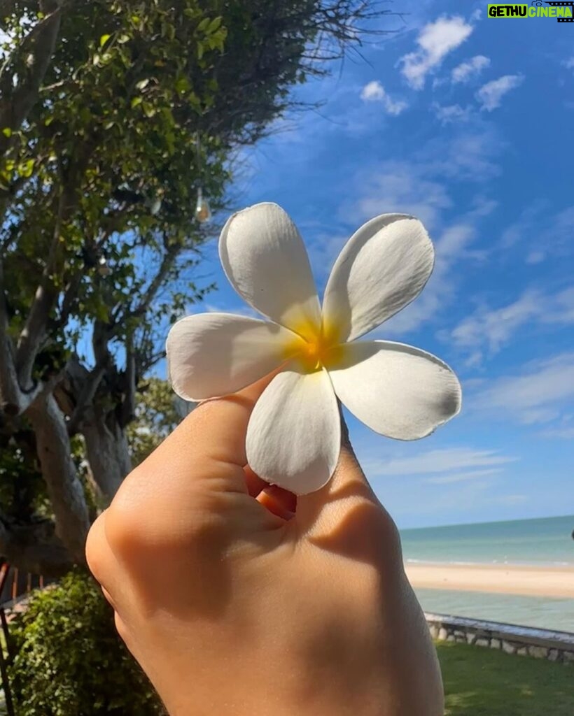 Renjun Instagram - 🌼🌸🌺