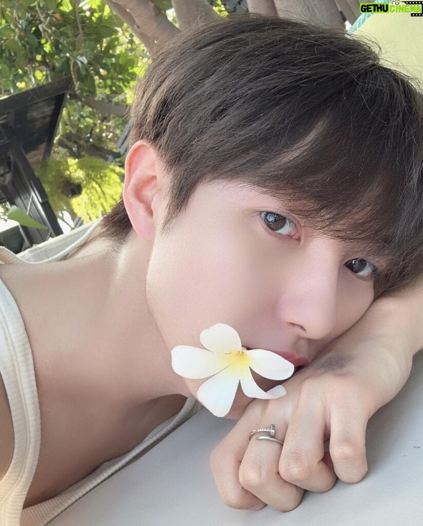 Renjun Instagram - 🌼🌸🌺