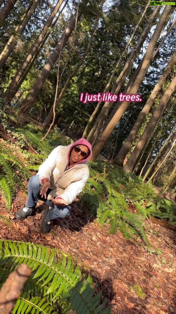 Rhinnan Payne Instagram - Always in the trees. Always in the branches. WHY?? Cuz it’s fun! Okay? Don’t ask questions. Just enjoy the vibes of it all. #🌲 #🌴 #🌳 #🏕 #🏡 #🌿 #🌱 #🍃 #🍂 #🍁 #🌾 #☀ #🏔 #🪵 (More on titktok @/RivalRhi) It’s fun! maybe I need to be hit in the face by a tree branch or two sometimes. Helps me live! Survive! You should try it. Take a twig to the eye just once! 10/10 recommend. (Don’t do it, it will hurt a lot actually) #playoutside #runaround #dowhatyouwant #thetreesthetrees #itsablast #ineedittosurvive #fun #timetravel #moonlanding #selfcare #joy #ijustliketrees #okay #nobigdeal #bye #rivalrhi