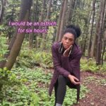Rhinnan Payne Instagram - Unfortunately, I am just a human girl. #🪄 #🔮 #✨ #🧞‍♀️ #🧙‍♀️ #🧚‍♀️ I AM ON TIKTOK @/Rivalrhi look me up for more vids #contrarytopopularbelief #sosorry #teachme #howtobe #magical #wizard #witch #wizards #witchy #spell #spellcasting #harrypotter #spells #hogwarts #plantnames #trees #treenames #namesofplants #alan #🌲 #🌴 #🌳 #🌊 #ostrich