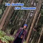 Rhinnan Payne Instagram – I am JUST looking for pinecones. THAT’s IT! 

TikTok @/RivalRhi

#seriously #itsnobigdeal #nbd #seriouslytho #justkidding #ohno #pinecones #watchout #rivalrhi #🎯🎯🎯 #💥💥💥