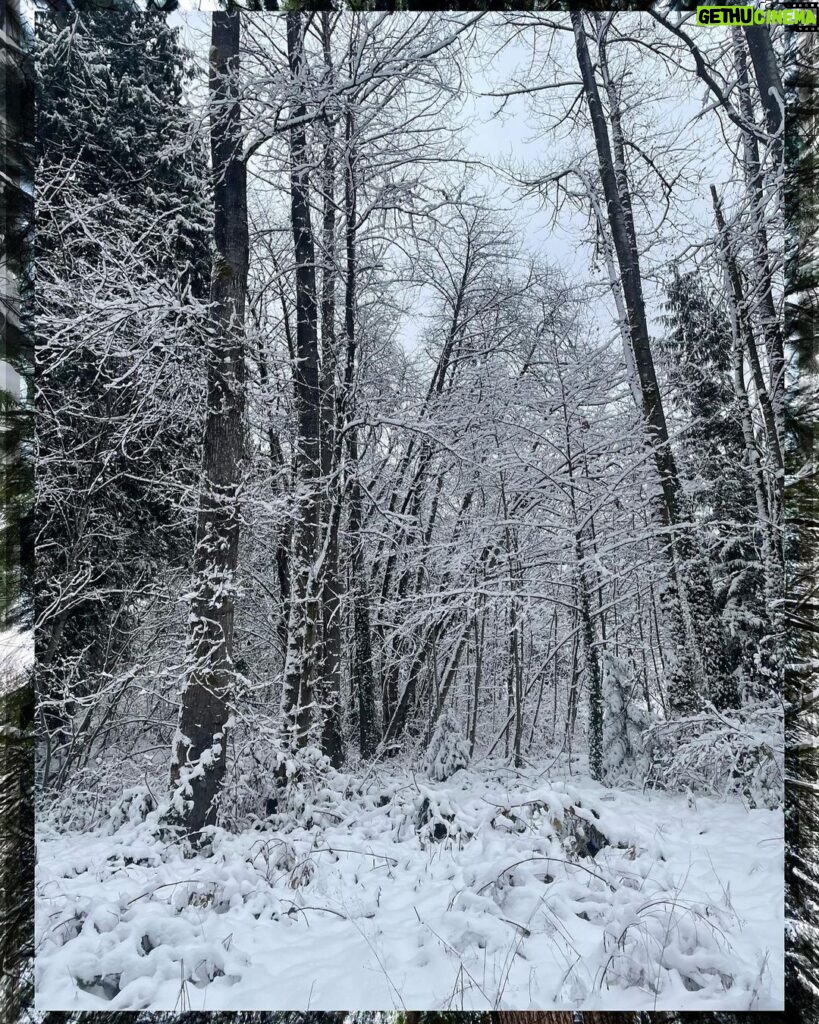 Rhinnan Payne Instagram - ❄Snowfall❄ Snow Snow Snow
