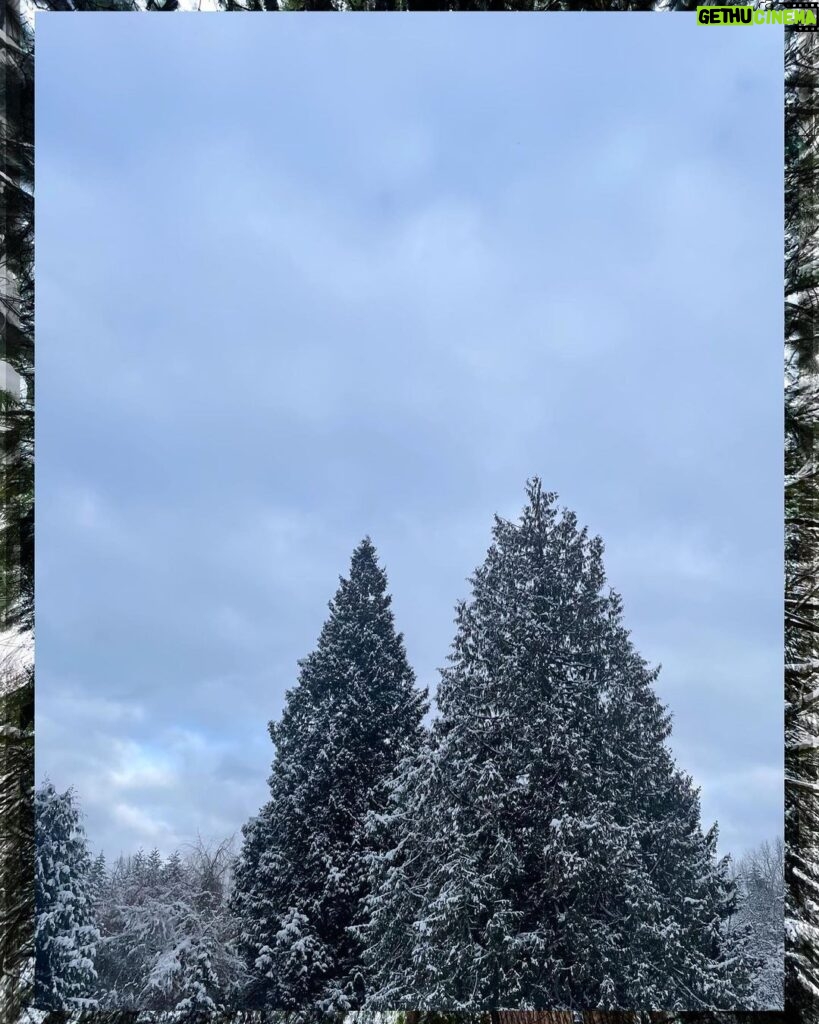 Rhinnan Payne Instagram - ❄Snowfall❄ Snow Snow Snow