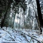Rhinnan Payne Instagram – ⛄️☃️❄️☃️⛄️ Snow