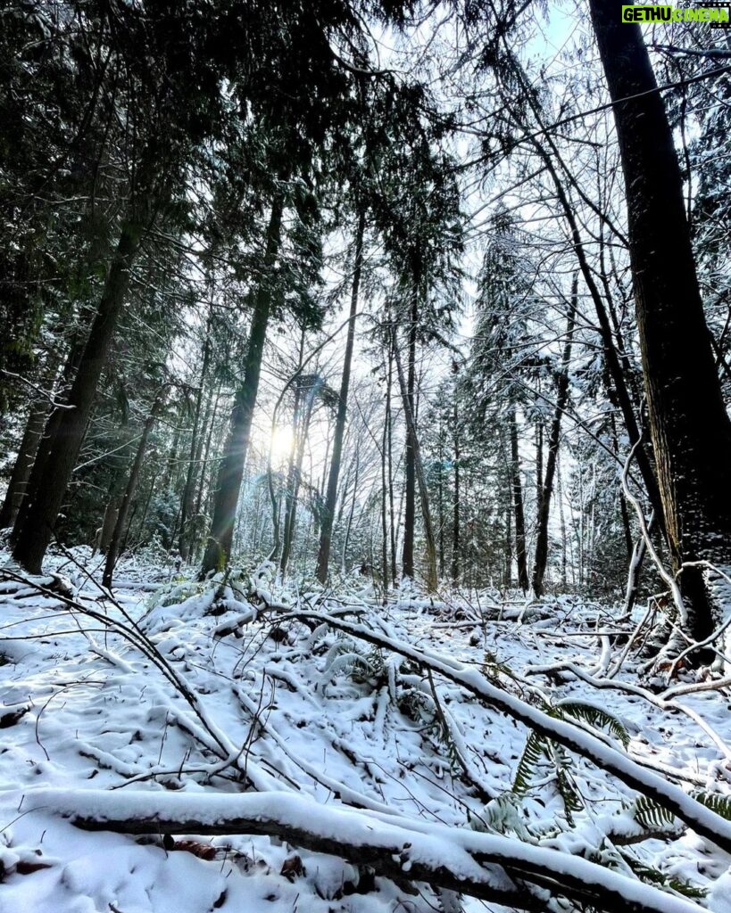 Rhinnan Payne Instagram - ⛄️☃️❄️☃️⛄️ Snow