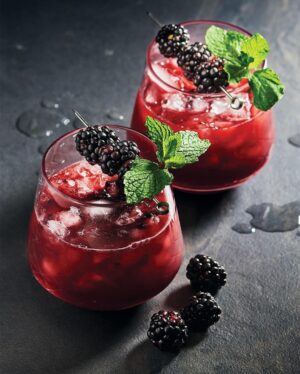 Ricardo Larrivée Instagram - Le mois sans alcool débute dès aujourd’hui et on a des tonnes d’idées pour avoir tout autant de plaisir! Voici des cocktails et des boissons sans alcool dignes des créations d’un mixologue pour accompagner vos apéros et vos soirées festives. Santé! 🍹

📷: Mocktails tonic au concombre / Mocktail à la mûre / Limonade lime, coco et menthe / Mocktail pomme-gingembre / Mocktail « ananas sureau fizz »

Lien dans le profil (@ricardocuisine) pour lire l’article.

_________

The alcohol-free month starts today, and we have tons of ideas for you to have just as much fun! Here are cocktails and non-alcoholic beverages worthy of a mixologist’s creations to accompany your appetizers and festive evenings. Cheers! 🍹

📷: Cucumber Tonic mocktail / Blackberry Mocktail / Coconut and Mint Limeade / Apple-Ginger Mocktail / Pineapple-Elderflower Fizz Mocktail

Link in the profile (@ricardocuisine) to read the article.
