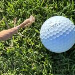 Rick Dees Instagram - Which Ryder Cup team do you think he prayed for?…#PGA #RyderCup #GolfChannel #Titleist