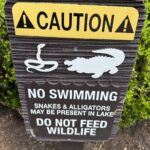 Rick Dees Instagram - I already have my swimsuit on, so I’m going to go ahead and dive in the lake… I’ll let you know how it goes.