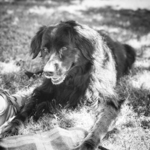 Rick Malambri Instagram - Sweet sweet Kali,
You were cherished more than you’ll ever know. A living light that shined so extraordinarily bright. All you ever wanted was to love and be loved on. You brought the biggest smiles to our faces, even on our darkest of days. We will miss you tremendously, beautiful baby girl. Rest In Peace, we love you. ❤️