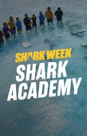 Riley Elliott Instagram - I am so excited to have co-created, produced and presented @discovery 's first ever #SharkWeek series. #SharkAcademy 

starting THIS Sunday July 11th streaming every night of @sharkweek on @discoveryplus. 

I can not thank enough, all the amazing people who made this possible. Firstly @doubleactproductions Alastair Cook and Will Cross, and the almighty Jo Locke who all enabled this alongside the Incredible and visionary crew @discovery @discoveryplus and @animalplanet Amy and Nancy especially thank you for seeing the potential in this novel show. 

Thank you so much to my co-hosts @kokocuvier @mattsmukall  @andremusgrove without you guys I'm sure someone would have got nipped. Your professionalism allowed me to get my producer hat on and know that you had things under control in water. 
Thanks so so much to @biminisharklab and all of your crew who were the workhorses for the field time and provided a real back bone of science which we partook in and made the substance for the show, incredible work you do there, thanks @chelleblaisphoto 

Thanks to all of the amazing crew on set for 12 weeks, leaving family behind to make this happen. I can't name you all but the skills each of you brought made essential pieces of the puzzle come together. 

Thank you to the Bahamian Government and locals who took us in and showed us a great time. 

And lastly, thank you to all those people who applied for this series. I personally watched all 897 of your 5minute application videos. It was so humbling to see so many people keen on a concept dear to my heart. 

The eight of you that got selected, @renslatter @juliana.velezg @sophia.carmela @theadventuresof5k @bradbenedict Ryan @cassidymccabe and @austinguard wow you guys did so so well. No bullshit, I didn't expect anyone to do as well as they did,  you each blew me away.

And of course thanks to my wife @amberandfriendsphotography for letting me go to the Bahamas for 12 weeks 

I dedicate this show to @reefhunter
as he was first to show me the Bahamas and it's sharks and became a true and incredible friend.