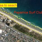 Riley Elliott Instagram - Do you live in the Papamoa Beach area? Can you help me find a Shark Tag??? $100 reward :) Free after school entertainment for kids and dogs lol Unfortunately the famous Great White Shark Daisy, seems to have dropped her tag and it has floated inshore onto the beach roughly in the area in front of Papamoa Beach Surf Club. The tag will look similar to the below picture. It will have seaweed growth on it so may blend in, and will likely be at the high tide mark. This location below shows it on the land but the last location signal was an inaccurate one, so its within a few kms of this area, but definitely on the beach as it washed ashore. The satellites are not overhead to give more accurate locations until tonight. So please if you are in the area, could you have a look and text/call me if you find it 027 463 7397 There has been do much debris in the ocean from the ongoing floods that these tags have had a hard ride through the usually empty ocean, and this is the third to pull from the sharks.
