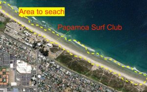 Riley Elliott Instagram - Do you live in the Papamoa Beach area? 
Can you help me find a Shark Tag??? 
$100 reward :)
Free after school entertainment for kids and dogs lol

Unfortunately the famous Great White Shark Daisy, seems to have dropped her tag and it has floated inshore onto the beach roughly in the area in front of Papamoa Beach Surf Club. 
The tag will look similar to the below picture. It will have seaweed growth on it so may blend in, and will likely be at the high tide mark. 
This location below shows it on the land but the last location signal was an inaccurate one, so its within a few kms of this area, but definitely on the beach as it washed ashore. The satellites are not overhead to give more accurate locations until tonight. So please if you are in the area, could you have a look and text/call me if you find it 027 463 7397

There has been do much debris in the ocean from the ongoing floods that these tags have had a hard ride through the usually empty ocean, and this is the third to pull from the sharks.