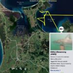 Riley Elliott Instagram - Great White App update!!! After some time below water we have some recent pings from our Great White sharks. Mananui has made an incredible return journey to the Coromandel region, just offshore of the Alderman Island where I live in Tairua!!! Mananui had gone all the way around the top of the north island to 90Mile Beach on the West Coast!!! And has now returned through the Hauraki Gulf, down to the Coromandel mussel farms, back up and around the tip of the Coromandel Peninsula and now just offshore of the Alderman Islands as said. Incredible really. Where to next? In totally different fashion, SWAJ continues to remain in Doubtless Bay Area. There must be some small fish prey teeming in this area to hold her there for so long. I got a low accuracy location just the other day which shows she is still there. And then the infamous Daisy has pinged after a month of silence. It shows us that these sharks do not need to surface regularly and thus the locations we get, can go quiet for a while but the shark is fine. Stoked to see Daisy again, I know she is a fan fave. I have tried very hard to deploy more tags but the unprecedented weather and road closures have made it incredibly challenging to do so. I also feel that the flood waters along the harbours and coastline have pushed normal fish life patterns offshore or further north, hence the sharks all moving quite far from tagging locations. I appreciate the patience, especially from those who have sponsored tags but this is the reality of working with nature it seems. There will be more I promise. But for now let’s continue to enjoy these three amazing sharks!!!