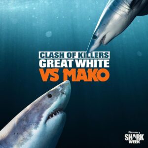 Riley Elliott Instagram - Tonight Watch Clash of Killers: Great White vs Mako, Friday at 9p ET on @Discovery and @discoveryplus #SharkWeek

This was such an extreme adventure on the high seas trying to follow the migration of two open ocean predators. Be sure to tune in for some incredible shark action and insane New Zealand landscapes with myself and @saminthewild_ 

Thanks to @radleystudios Sigi @wazzagreen @liquid_action_films George @billy.turner98 Tony Spear @sharkexperiencebluff and Sean Kelly