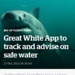 Riley Elliott Instagram - The Great White App coming soon. Check out the linked article to see how you can be directly involved. https://www.nzherald.co.nz/bay-of-plenty-times/news/great-white-app-to-track-and-advise-on-safe-water/S3AI6VSUTJ3TPFGNQFF5DTJCSM/