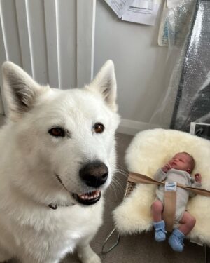 Riley Elliott Instagram - So we had a baby girl!!!! 
✨ Sailor Jane Elliott ✨ 
Born 3rd October, 3.3kg. 
I’ve held baby sharks before, a few human ones here and there, but never have I experienced something quite like this. After an amazing labour by Amber, where she did 3/4 of the labour at home, we were surrounded by the most incredible team of women at North Shore Hospital. I was instructed by our midwife to catch my very own baby girl as she came into the world. From her very first moment in this world she was eyes open, super inquisitive and has been a dream so far, peacefully observing her new world with us. 
She’s already been in the water with Great Whites for Shark Week (inside mummy), has a wolf for a brother, and will likely live a very oceanic life. Lots of love little Sailor. And Amber, I am and always will be blown away by your strength and beauty xxx