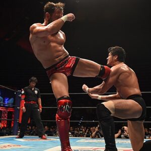 Robert Anthony Fish Instagram - @katsuyorishibata @njpw1972