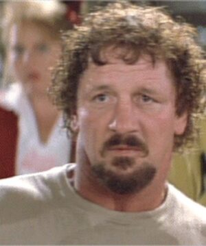 Robert Anthony Fish Instagram - LEGEND. I’m not sure if it even starts to scratch the surface when you talk about Terry Funk. Rest in peace, sir. 🙏