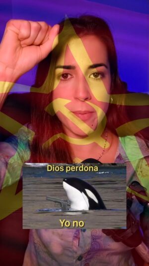 Rocío Vidal Instagram - Todos somos Gladis ✊💙
Vamos a analizar el comportamiento de esta orca viral y entender por qué lo está haciendo. ¿Tienen un plan? ¿Son tan inteligentes? ¿Son un grupo de orcas comunistas?
¿Qué hipótesis os convence más?

#ciencia #naturaleza