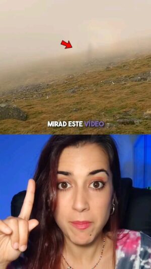 Rocío Vidal Instagram - A veces la realidad es más fascinante que la leyenda 👻 #ciencia #naturaleza #paranormal