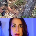 Rocío Vidal Instagram - El "tierno" gesto viral de esta mamá osa perezosa no es lo que parece... #ciencia #naturaleza