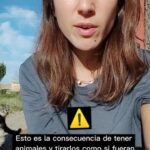 Rocío Vidal Instagram - ⚠️ Caso muy triste, pero no pararé hasta que os pueda contar un final feliz para empezar el año ⚠️ Estos gatitos necesitan un hogar, si podéis acogerlos temporalmente o adoptarlos, contactad con @insmolmanada. Si no, compartid e interactuar para que se viralice y llegue a más gente. Cualquier gesto o ayuda es bienvenido. Hemos llevado uno al hospital en muy mal estado, pero el resto (20) sobrevivirán si los sacamos ya de ahí. Entre todos acabaremos con la tenencia irresponsable, estoy segura ❤️.