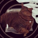 Roman Muradov Instagram - SOUND ON!!1 #cats #3dprinting #borges Brooklyn, New York
