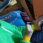 Roman Popov Instagram - Сегодня Фëдору Романовичу исполнилось 10 лет. Парень растёт, мужает и учится взаимодействию с окружающим миром. Свой подарок на первый достойный юбилей этот зумер получил в лучших традициях нашего с Вами "миллениального детства" заранее, в формате: "Дарим тебе это сейчас, но это тебе на День Рождения!" А сегодня решили подарить бонус, о котором он так мечтал. С утра Фëдор "запончил" себе в игре Brawl Stars 2000 гемов. Счастью нет предела! P. S.: Когда мне исполнилось 12 лет, родители бонусом к основному подарку купили мне 12 кг бананов, которые я так любил. Это причина по которой я со временем потерял интерес к этому фрукту. Надеюсь, что этот лайфхак сработает и сегодня. 😏 #ДеньРожденьяПраздникДетства #ИНикудаНикудаНикудаОтНегоНеДеться