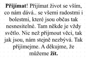 Roman Tomeš Instagram - #prijimejme