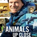 Ronan Donovan Instagram - Check out my friend’s new series #AnimalsUpClose with @bertiegregory now streaming on Disney+. He’s been on some awesome adventures to track down killer whales creating waves in Antarctica, pumas in Patagonia, surfing marine iguanas in the Galapagos, wild dogs hunting for their very cute pups in Botswana and even close calls with jungle elephants in the Central African Republic. The team also showcases the challenges facing these species and celebrates some amazing people working to turnaround the human relationship with the natural world. @disneyplus One of my favorite scenes is in the first episode - Patagonia Pumas - where they captured an interaction between a wild puma and sheep guarding dogs at night. Check it out! Planet Earth