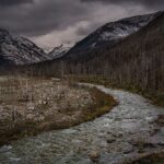 Ronan Donovan Instagram - Unpublished work // I’ll continue on the storytelling thread here with another photo series focused on field biology work directed towards a better understanding of a local bird species here in Montana - the harlequin duck. Like the images in my previous post, these images weren’t taken on assignment, but rather the access and reason for being there was to contribute as a biologist with the survey. There’s a specific balance needed while being asked to be part of a team conducting actual field work and also taking photographs throughout. Clear communication upfront is needed so no one gets annoyed or taken by surprise when you start taking photos. All of the images that I take, while on assignment or otherwise, are always available to the scientists I work with for their presentations, reports and scientific papers. Yes, this is not a sustainable model since most of the work is either unpaid or you’re being paid as a biologist, but the value in the practice and honing your skills as an aspiring photographer is priceless. ⁣ ⁣ Photo 1 - A female harlequin duck with two males in pursuit during the breeding season.⁣ Photo 2 - Sense of place in the mountains of Montana where harlequin ducks breed.⁣ Photo 3 - MT State Avian Biologist Kristina Smucker searching for ducks. ⁣ Photo 4 - A male harlequin duck at home in the fast moving mountain river. ⁣ Photo 5 - With ducks spotted up stream, the team prepares to setup a capture net.⁣ Photo 6 - Stringing the net across the river.⁣ Photo 7 - Measuring the beak of a female harlequin duck.⁣ Photo 8 - Kristina Smucker weighing a male harlequin. ⁣ Photo 9 - A male harlequin before release.⁣ Photo 10 - A male harlequin duck resting on the edge of a mountain river.⁣ ⁣ Always think about the variety of images you need to create a story: scene setting, characters, action, detail, portrait, and closing to name a few. Even if you think a simply as a tight, medium and wide image of a scene you are doing well.