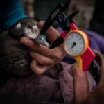 Ronan Donovan Instagram - Unpublished work // I’ll continue on the storytelling thread here with another photo series focused on field biology work directed towards a better understanding of a local bird species here in Montana - the harlequin duck. Like the images in my previous post, these images weren’t taken on assignment, but rather the access and reason for being there was to contribute as a biologist with the survey. There’s a specific balance needed while being asked to be part of a team conducting actual field work and also taking photographs throughout. Clear communication upfront is needed so no one gets annoyed or taken by surprise when you start taking photos. All of the images that I take, while on assignment or otherwise, are always available to the scientists I work with for their presentations, reports and scientific papers. Yes, this is not a sustainable model since most of the work is either unpaid or you’re being paid as a biologist, but the value in the practice and honing your skills as an aspiring photographer is priceless. ⁣ ⁣ Photo 1 - A female harlequin duck with two males in pursuit during the breeding season.⁣ Photo 2 - Sense of place in the mountains of Montana where harlequin ducks breed.⁣ Photo 3 - MT State Avian Biologist Kristina Smucker searching for ducks. ⁣ Photo 4 - A male harlequin duck at home in the fast moving mountain river. ⁣ Photo 5 - With ducks spotted up stream, the team prepares to setup a capture net.⁣ Photo 6 - Stringing the net across the river.⁣ Photo 7 - Measuring the beak of a female harlequin duck.⁣ Photo 8 - Kristina Smucker weighing a male harlequin. ⁣ Photo 9 - A male harlequin before release.⁣ Photo 10 - A male harlequin duck resting on the edge of a mountain river.⁣ ⁣ Always think about the variety of images you need to create a story: scene setting, characters, action, detail, portrait, and closing to name a few. Even if you think a simply as a tight, medium and wide image of a scene you are doing well.