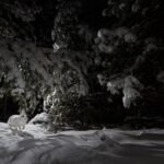 Ronan Donovan Instagram - Sharing some more images and stories from my takeover of @ilcp_photographers⁣ These are meant to be useful to aspiring photojournalists looking to get into conservation photography and science communication.⁣ ⁣ // The images from my previous post depicted the wildlife that I had continued access to or species that I was working with as a wildlife field biologist. The same goes for learning new camera techniques or even with new camera gear - stick to wildlife or locations that you have easy access to (nearby parks or even bird feeders or pets). ⁣ ⁣ My approach was no different In 2014 when I built my own camera trap system to learn how to create images of shy animals at night. I started with my dog and then found species that were nearby and unafraid - porcupines and snowshoe hares. There are plenty of tutorials, forums and commercially available camera trap gear now, so just do some googling and you’ll find it. ⁣ ⁣ As I mentioned at the end of my previous post, I was creating single images that lacked a story. With camera traps, I was trying different angles with these species to try and showcase more of their behaviors. But still, these were not stories and I was far from a working photographer at this point. ⁣ Montana