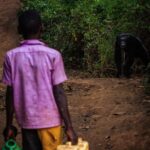 Ronan Donovan Instagram - In the coming days, I will be sharing images and stories from an article David Quammen (@davidquammen) and I worked on that’s printed in the current August issue of National Geographic Magazine (@natgeo) ⁣ ⁣ Locked in a momentary standoff, a boy on his way to collect water meets the gaze of a wild male chimpanzee in the village of Mparangasi in western Uganda. Since our split from a shared ancestor some ~6 million years ago, humans and chimpanzees still share much in common: from diet to raising young to social structure to territoriality, to name a few. As a result, these commonalities have the potential to lead to competition when resources become scarce. In western Uganda, the hand of modern humans has steadily leveled the unprotected forests for timber and to clear land for agriculture. With nowhere to go and not enough wild foods to sustain them, wild chimps across western Uganda have turned to foraging in farmer’s fields for corn, mangos, sugarcane and jackfruit. ⁣ ⁣ As humans continue their global expanse, converting wild lands to meet the needs of our growing population, this kind of scene will only increase until there are no wild lands outside of protected borders. But then what? Will the human lust for land and resources suddenly cease? What if we worked now to find solutions for a sustainable land-use system, not just for chimpanzees, but for humanity? ⁣ ⁣ Luckily, people have dedicated their lives to finding solutions for these issues in western Uganda and beyond. I worked extensively and was guided by the work of Dr. Matthew McLennan and his late fiancé Jacqueline Rohen who started the NGO (@bulindichimps). The above photo was taken with McLennan and Rohen at my side in the village at the core of their work, Bulindi. Please consider donating to their work and learn more through their Instagram feed and the link in my bio. ⁣ .⁣ .⁣ .⁣ .⁣ .⁣ #chimpanzee #chimp #chimpanzees #chimps #ape #wildlife #conservation #animals #africa #uganda #wildlifephotography #nature #natgeo⁣