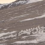 Ronan Donovan Instagram - This scene shows the yearling male known as Grey Mane chasing after a herd of Arctic hares - yes, a herd of hares! This is a followup to a @natgeo post from today. This scene was at the end of a 35 hours stint where the pack was hunting, covering a distance of 60 miles on a mission to make a fresh kill. The 12-week-old pups had begun to whimper and whine in protest. Their young legs and small bodies were exhausted. Grey Mane was a little over a year old, but he was the largest wolf in the pack by size. But he was a skilled hare hunter. These clips are from a 3 part series about this family of Arctic wolves called Kingdom of the White Wolf. Watch it streaming online - links in my bio. #wolf #arcticwolf #nature #wild #hunting #predator #prey #whitewolf #kingdomofthewhitewolf #arctic #canada #animals #instadaily #instagood Ellesmere Island