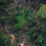 Ronan Donovan Instagram - In the coming days, I will be sharing images and stories from an article David Quammen (@davidquammen) and I worked on that’s printed in the current August issue of National Geographic Magazine (@natgeo) ⁣⁣ ⁣ At its core, this story is about deforestation. @natgeo, Quammen and I chose to highlight this flash point between humans and wild chimpanzees in Uganda as a way to have a different conversation about the global challenge of deforestation. ⁣ ⁣ What does deforestation in Uganda look like? This series of images shows the scale of deforestation across western Uganda. At current rates of deforestation, ~2-3% per year, Uganda will lose the remaining native forest cover outside if heavily protected areas in 30 years - according to a 2010 paper titled: Status of forests in Uganda. ⁣Much of the deforestation isn’t through large scale industrial logging that we in the Northern Hemisphere are used to seeing. These forests are disappearing by millions of tiny cuts that add up over years and decades. ⁣ Learn more and consider a donation (link in my bio) to the NGO @bulindichimps and learn more in the @natgeo magazine issue, on shelves now. ⁣ ⁣ The collision between humans and wild things is nothing new, after all, we came from the same wild lands. What is new is our mental detachment from those wild lands paired with our capacity to fulfill our insatiable appetite for resources. Now, when a modern human meets the gaze of a wild animal they are too disconnected to see how their futures are intertwined. The health of the land will forever dictate the health of humanity. ⁣ .⁣⁣ .⁣⁣ .⁣⁣ .⁣⁣ .⁣⁣ #chimpanzee #chimp #chimpanzees #chimps #ape #wildlife #conservation #animals #africa #uganda #wildlifephotography #nature #natgeo⁣⁣