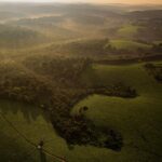 Ronan Donovan Instagram - In the coming days, I will be sharing images and stories from an article David Quammen (@davidquammen) and I worked on that’s printed in the current August issue of National Geographic Magazine (@natgeo) ⁣⁣ ⁣ At its core, this story is about deforestation. @natgeo, Quammen and I chose to highlight this flash point between humans and wild chimpanzees in Uganda as a way to have a different conversation about the global challenge of deforestation. ⁣ ⁣ What does deforestation in Uganda look like? This series of images shows the scale of deforestation across western Uganda. At current rates of deforestation, ~2-3% per year, Uganda will lose the remaining native forest cover outside if heavily protected areas in 30 years - according to a 2010 paper titled: Status of forests in Uganda. ⁣Much of the deforestation isn’t through large scale industrial logging that we in the Northern Hemisphere are used to seeing. These forests are disappearing by millions of tiny cuts that add up over years and decades. ⁣ Learn more and consider a donation (link in my bio) to the NGO @bulindichimps and learn more in the @natgeo magazine issue, on shelves now. ⁣ ⁣ The collision between humans and wild things is nothing new, after all, we came from the same wild lands. What is new is our mental detachment from those wild lands paired with our capacity to fulfill our insatiable appetite for resources. Now, when a modern human meets the gaze of a wild animal they are too disconnected to see how their futures are intertwined. The health of the land will forever dictate the health of humanity. ⁣ .⁣⁣ .⁣⁣ .⁣⁣ .⁣⁣ .⁣⁣ #chimpanzee #chimp #chimpanzees #chimps #ape #wildlife #conservation #animals #africa #uganda #wildlifephotography #nature #natgeo⁣⁣