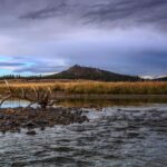 Ronan Donovan Instagram - This November, the people of Colorado will have the chance to vote for a viable gray wolf population to be brought back into their wild forests after a 70-year absence. In the past, the reintroduction of wolves to wild lands in the lower-48 States was decided by national policy makers in Washington. This vote is unique in that the decision would come from the public of Colorado to determine whether free-willed nature is truly valued in that state. It would be a remarkable step towards the restoration of a keystone species that would ultimately renew a historic wolf connection from the High Arctic down the spine of our continent to Yellowstone and south to Mexican border. ⁣ ⁣ I’ve committed to spreading the word and while this will be determined by Coloradans, I also feel that as Americans we all have a stake in returning wolves to appropriate public lands across the United States and in Colorado. The initial 200,000 signatures from the public of Colorado were gathered and Initiative 107 will be on the November 2020 ballot in Colorado. ⁣ ⁣ Please share this information or this post with your Colorado friends and learn more about how you can help #restorethehowl at wolfactionfund.com @rockymtnwolf and take a look at the language of Intuitive 107. To quote an article by the Center for Biological Diversity @centerforbiodiv , “Initiative 107 instructs Colorado Parks and Wildlife to develop, after public input, a science-based plan for reintroducing wolves to western Colorado by 2023.”⁣ ⁣ Other’s who are using their reach include @janefonda, @psihoyos , @leilanimunter and @alexilubomirski. #colorado #wolves #wildnature #restoration Planet Earth