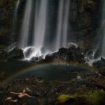 Ronan Donovan Instagram - Images by Michael ‘Nick’ Nichols @michaelnicknichols in collaboration with Yellowstone National Park @yellowstonenps and myself. It was June 16th, 2014 when I received a voicemail from Michael ‘Nick’ Nichols @michaelnicknichols. We had never spoken before and he wanted to talk to me about camera traps. I called him back on the train from D.C. to Charlottesville and we immediately began to discuss his need for a longterm camera trap assistant for a project in Yellowstone. The following day, I met with Kathy Moran @kfmoran , at the time the senior natural history editor for National Geographic Magazine, and she officially offered me the position. Kathy said, ‘we’ll give you two weeks to start since you’ve never met Nick and you need to have that first date.’ Two weeks turned into nearly two years working with Nick and it’s remained the most formative time in my career. Spending that time with Nick and his wife Reba in the field was a rare opportunity to learn from a master artist, technician, and storyteller. Nick is a mentor, but more importantly, he’s my friend. • Nick has a new retrospective book coming out soon with a limited first run needed to reach 500 copies sold before the publisher begins the next run. Find a link with more info in Nick’s profile @michaelnicknichols • From the publisher: WILD is famed wildlife photographer Michael Nichols’ choice of his favorite images. Presented in chronological order from the beginning of his career in 1980, when he used Transparency film and was a Magnum photographer, until 2016, when he had embraced digital capture as the editor at large of National Geographic magazine. Shown without words to explain the images, Nichols is asking the viewer to “look and feel.” • “This book is to be displayed and left open to a page that sings for a time. It is as if I had made 240 limited edition prints of my career and had given them to all of you …this is truly meant as a BOOK for FRIENDS. If you are one of the first 500 people to order this book, you are helping to pay for the printing. You get a dedication, as well as the book and a fine art print.” – Michael Nichols
