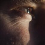 Ronan Donovan Instagram - From an early age, @ronan_donovan connected with nature and it became his escape from the confusion of modern society. Through his camera lens, he tells the story of animals that might otherwise go untold and advocates for conservation. #jackwolfskin #welivetodiscover
